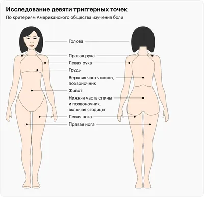 Фибромиалгия Расстройство Опорно Двигательного Аппарата Маркированная  Образовательная Схема Широко Распространенными Векторное изображение  ©VectorMine 574502418