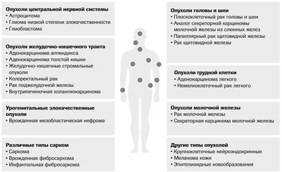 Постинъекционная фибросаркома – делать прививку или нет? Интервью с  онкологом