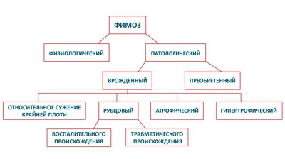 Фимоз у мальчиков: причины, симптомы, лечение