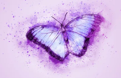 Фиолетовые кристаллы Flourite Стоковое Фото - изображение насчитывающей  очень, природа: 52134958