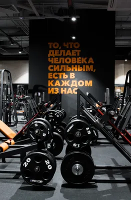 Клуб Spirit Fitness у метро Юго-Западная - купить абонемент в фитнес-клуб  на проспекте Вернадского: цены от 1690 ₽ за месяц