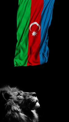 4K HD Azərbaycan bayrağı və Aslan divar kağızı. Azerbaijan Flag and Lion  wallpaper | Kultur