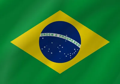 Флаг Бразилии Векторное изображение ©Aleksandrsb 38774149