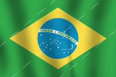 флаг Бразилии иллюстрация штока. иллюстрации насчитывающей бразильские -  6699177