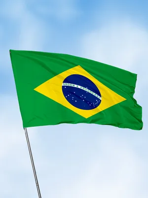 Флаг Бразилии - купить Флаг по выгодной цене в интернет-магазине OZON  (252405496)