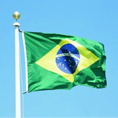 Настольный флаг Бразилии с металлической подставкой купить по низким ценам  в интернет-магазине Uzum (491298)