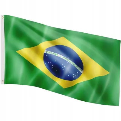 Флаг Бразилии на полюсе 70 градусов 3D Модель $8 - .c4d - Free3D