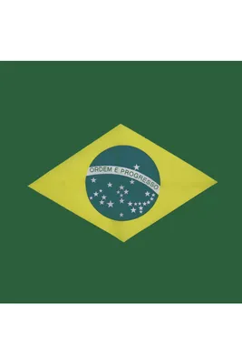 Бесплатные Флаг Бразилии 1 стоковые фотографии | FreeImages