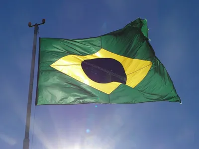 Купить Флаг Бразилии, 120 х 80 см: отзывы, фото и характеристики на  Aredi.ru (11296576781)