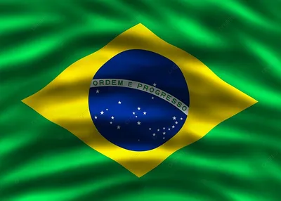 флаг Бразилии Круглый лоснистый стикер Иллюстрация вектора - иллюстрации  насчитывающей рамка, эмблема: 135441928