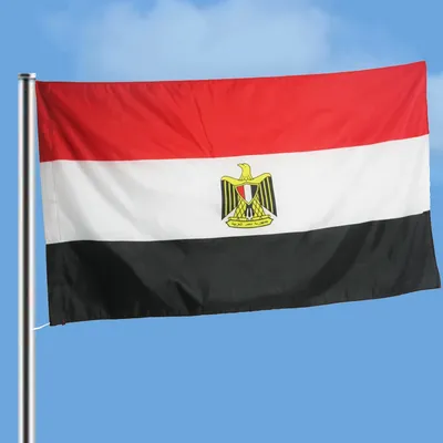 Флаг Египта - египетский флаг Стоковое Изображение - изображение  насчитывающей эмблема, флагшток: 44907813