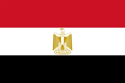 Флаг Египта купить на заказ от производителя | FlagSystem