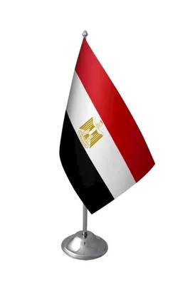 Флаг Египта 21X14 См Полиэстер Рука Машет Флаги Египет Страна Баннер С  Пластиковыми Флагштоками От 19 руб. | DHgate