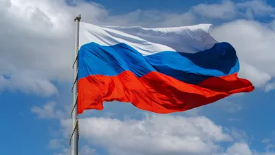 Флаг Российской Федерации 60 на 90 мм. / Флаг России / Флаг РФ / Триколор /  - купить Флаг по выгодной цене в интернет-магазине OZON (562122106)