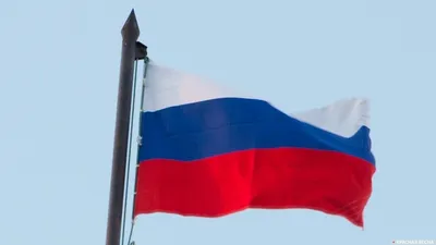 Флаг России в векторах для скачивания | Flagistrany.ru