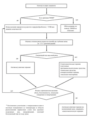 Тромбофлебит нижних конечностей - симптомы и лечение, классификация |  Медицинский центр ФлебоПлюс