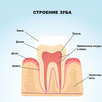 Флюс У Ребенка 9 Причин Лечение Как Убрать ЛюмиДент