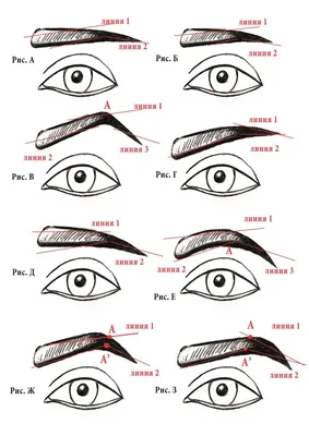 Форма бровей по типу лица: фото как подобрать форму бровей для разных типов  лица | Форма бровей, Виды макияжа, Естественные брови