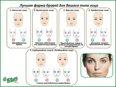 Азиатские брови – Броу Стилист