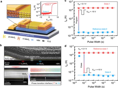 Simultaneously ultrafast and robust two-dimensional flash memory devices  based on phase-engineered edge contacts | Nature Communications