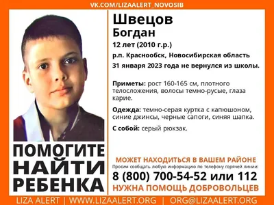 В Бердске ищут 12-летнего мальчика | Свидетель