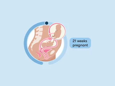 21 weeks pregnant: Symptoms, tips, and baby development