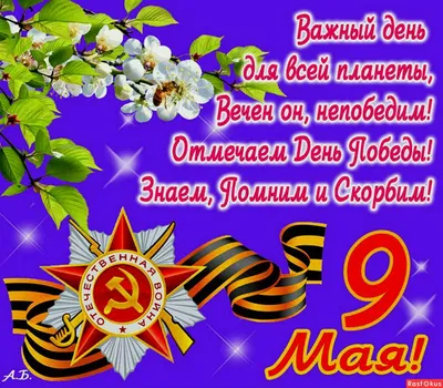 Россия День победы 9 мая цветы фон, Россия, День Победы, 9 мая фон картинки  и Фото для бесплатной загрузки