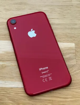 Сравнение iPhone 12 и iPhone 13: стоит ли переплачивать?