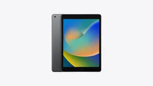 Buy 10.2-inch iPad Wi‑Fi 256GB - Space Gray - Apple