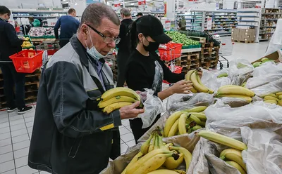 Банан комнатный - Banana. Уход за бананом, выращивание