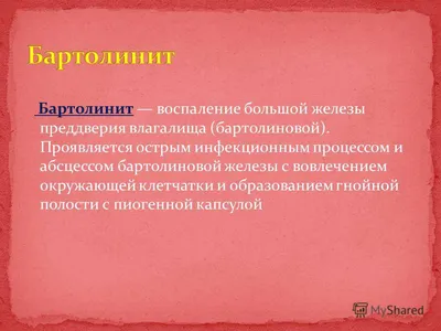 Расписание болезней - Солдатские матери