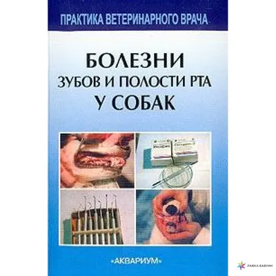 6 признаков опасных заболеваний во рту назвал стоматолог – например, зубы  становятся прозрачными или раковые язвы | Весь Искитим | Дзен