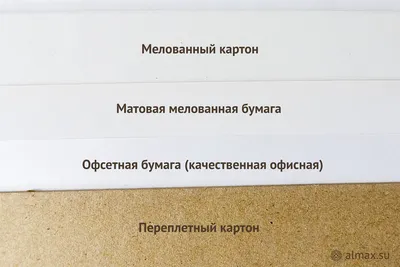 Держатель для туалетной бумаги \"Эконом\" М7234 – купить по цене производителя