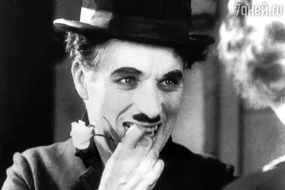 Почему могила Чарли Чаплина залита толстым слоем бетона: удивительные факты  о жизни и смерти комика - 7Дней.ру