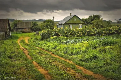 Фото деревни