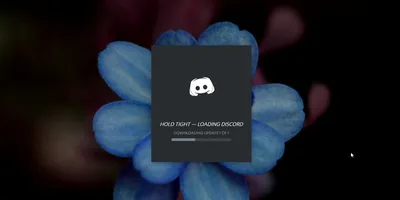 Как установить Дискорд на разные платформы: установка программы Discord