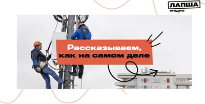 В России к 2024 году число фейков может вырасти более чем в два раза »  Новости Алтая