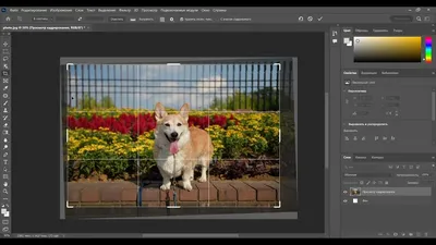 Как работать со слоями в Adobe Photoshop - пошаговая инструкция