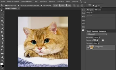 Как сделать цветокоррекцию в Adobe Photoshop - пошаговая инструкция