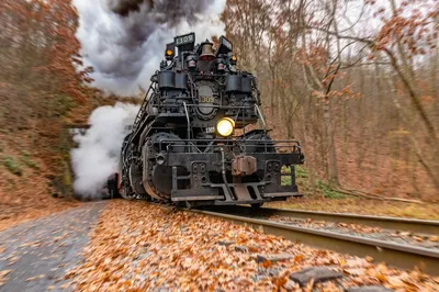 STEAM-Powered Fun Downtown | Library