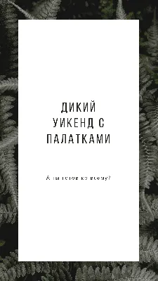 Бесплатные шаблоны для сторис в Инстаграм | Canva