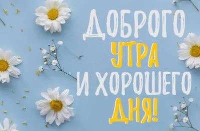 Идеи на тему «Пожелания хорошего дня» (900+) | открытки, доброе утро,  утренние цитаты