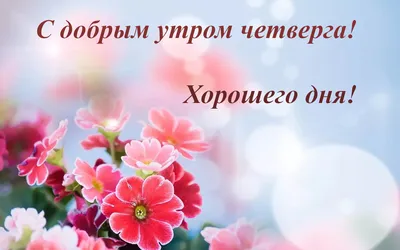 Пожелания хорошего дня в картинках, своими словами, в стихах, в смс и  христианские пожелания доброго дня — Украина