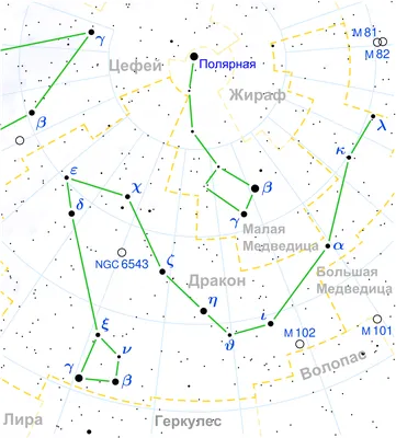 Кому будет покровительствовать зеленый деревянный Дракон в 2024 году? |  Новости Таджикистана ASIA-Plus