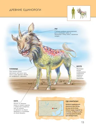 Единороги. Миф или реальность?