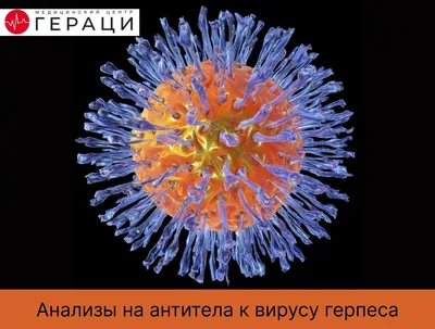 Генитальный герпес - причины, симптомы, диагностика и лечение | Заботливый  Доктор