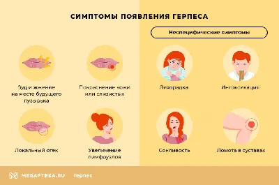 Герпес: симптомы и лечение, рекомендации врача | Семейный доктор