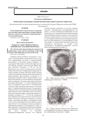 Гонт (zoster герпеса) Blister сыпь на коже Стоковое Изображение -  изображение насчитывающей гонт, герпес: 29046269