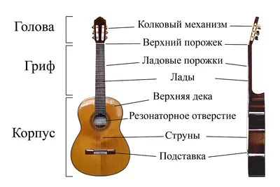 Награда в виде гитары (id 47912403), купить в Казахстане, цена на Satu.kz