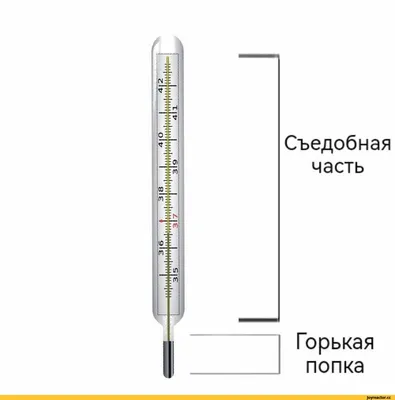 Электронный термометр против неэлектронного | Пикабу